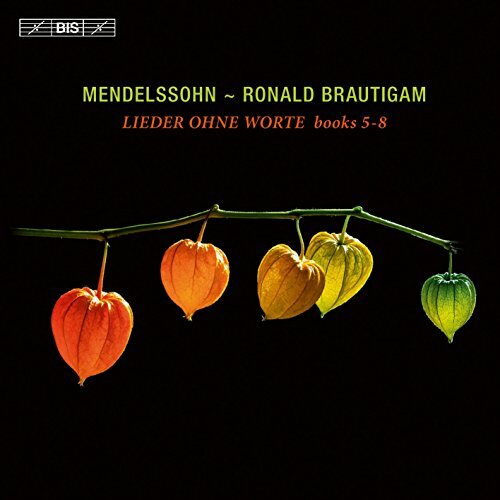 Ronald brautigam - brautigam,