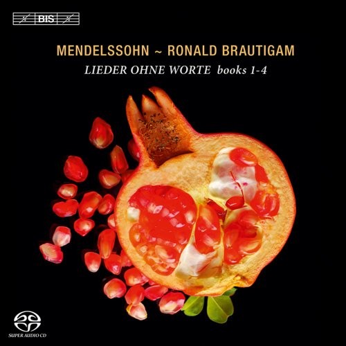 Ronald brautigam songs - ronald,